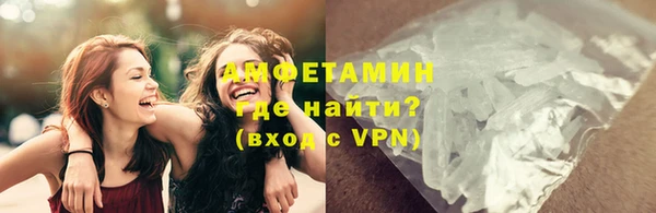 мяу мяу мука Инсар
