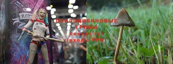 меф Зеленодольск