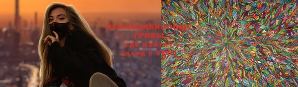 ПСИЛОЦИБИНОВЫЕ ГРИБЫ Зеленокумск