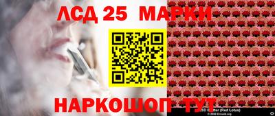 скорость Кингисепп