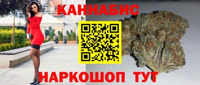 скорость Кингисепп