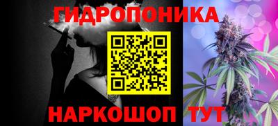 скорость Кингисепп