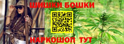 хмурый Бийск