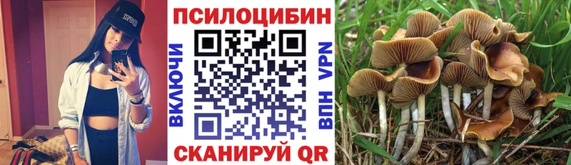 Галлюциногенные грибы GOLDEN TEACHER  купить наркотики сайты  Солнечногорск 