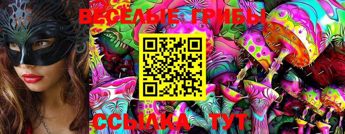 Галлюциногенные грибы мицелий  Солнечногорск  Галлюциногенные грибы Psilocybe 