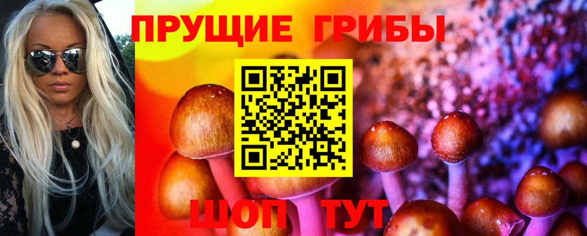 Галлюциногенные грибы Magic Shrooms  Вход с VPN  Галлюциногенные грибы мицелий  Солнечногорск 